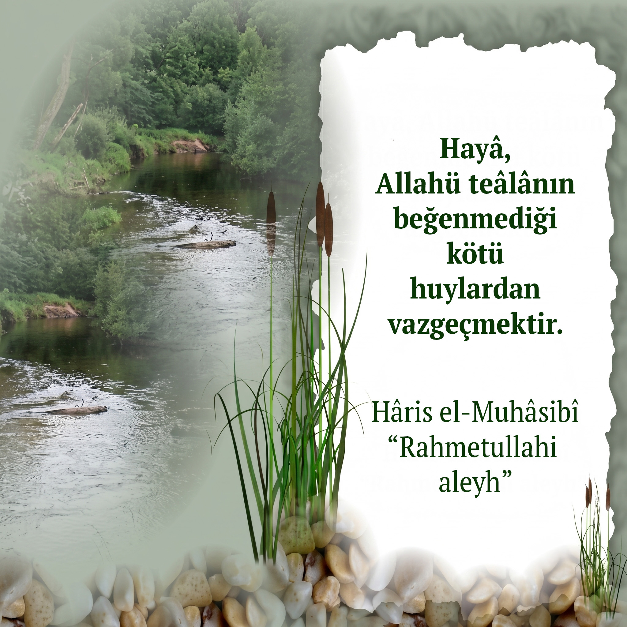 Hikmet Ehli Zatlar (156)